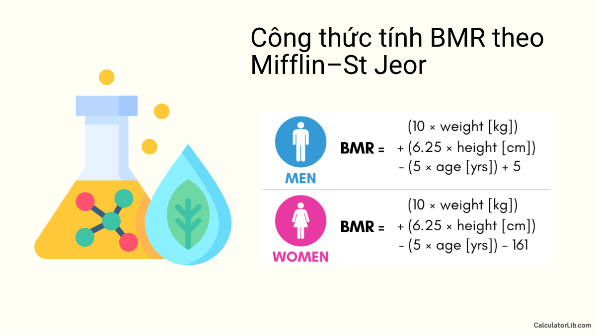BMR và cách tính theo Mifflin–St Jeor